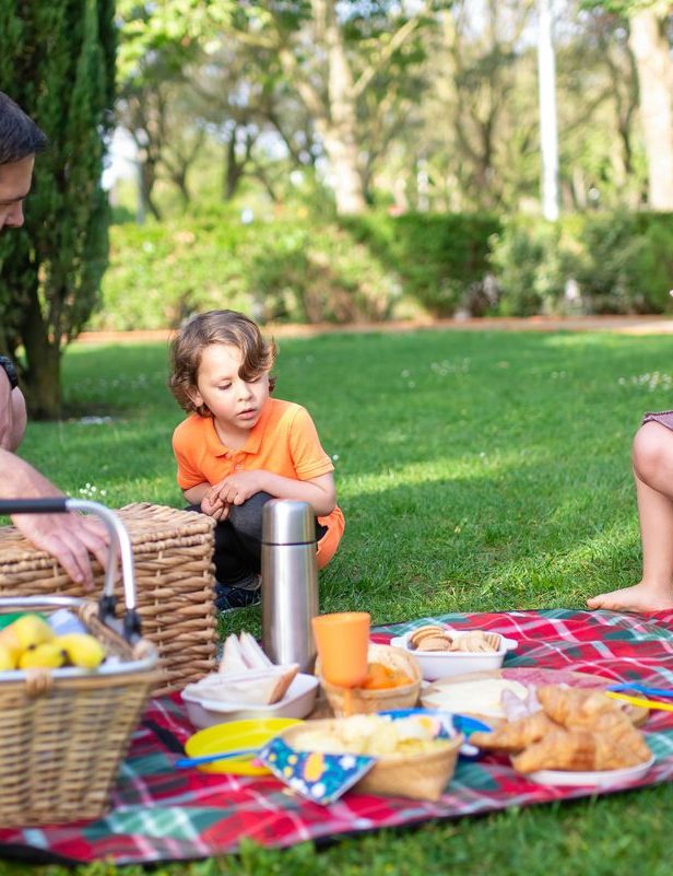 Family laughing together on a picnic in a summer park